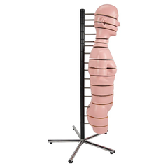 Mô hình thân MRI với 15 mặt cắt ngang - 3B Smart Anatomy