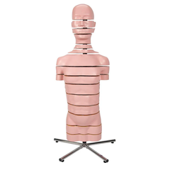 Mô hình thân MRI với 15 mặt cắt ngang - 3B Smart Anatomy