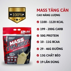 Nutrex Mass Infusion 12lbs