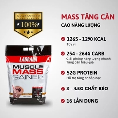 Labrada Muscle Mass Gainer 12lbs