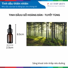 Máy bay chiến đấu F16 khuếch tán tinh dầu sử dung năng lượng mặt trời, phiên bản nâng cấp