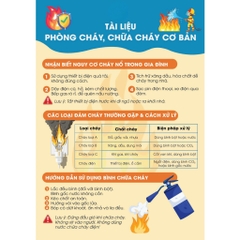 Bình chữa cháy đa năng gốc nước Sông Hồng 0,6 lít
