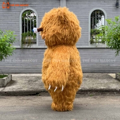 Mascot Hơi Gấu Lòi Mắt
