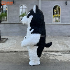 Mascot Hơi Chó Husky