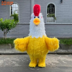 Mascot Hơi Gà Màu Vàng