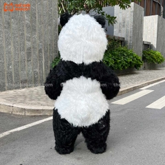 Mascot Hơi Gấu Trúc