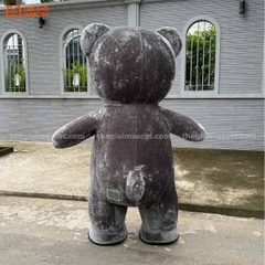Mascot Hơi Gấu Xám Bị Thương