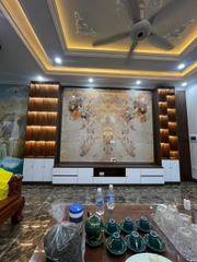 vách kệ ti vi 02
