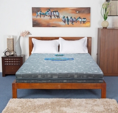 Đệm Lò Xo Titanium