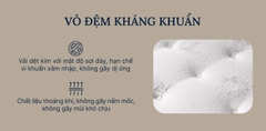 Đệm lò xò KingKoil ARISE PURE