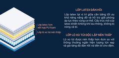 Đệm KingKoil Revive Pure