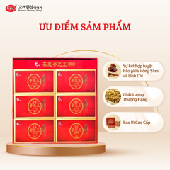 Hộp 30 Gói Nước Hồng Sâm Linh Chi KGS 1500ml (50ml/ gói)
