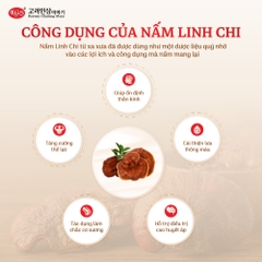 Hộp 5 gói Nước Hồng Sâm Linh Chi KGS 250ml (50 ml x 5 gói)