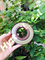 PHỐT XE HƠI TB 48*102*8/10