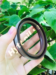 PHỐT XE HƠI TB 60*75*9/15