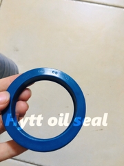 UN XANH 50*65*10, PHỐT BEN THỦY LỰC UN/UHS
