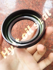 PHỐT XE HƠI 55*80*14/26