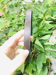 PHỐT CHẮN DẦU TG/TC SVKS 140*170*14