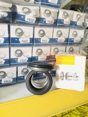 PHỐT MÁY BƠM EBARA, PHỐT BƠM NHỌN 155-25