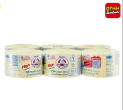 3 LON SỮA GẤU - V221A
