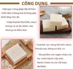 LỐC XÀ BÔNG CÁM GẠO - M78