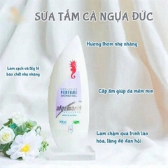 DẦU LĂN 16 - M149