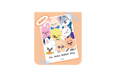 Flipsuit card Z Flip5 SKZOO_Frame
