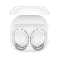 Galaxy Buds Core