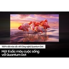 Smart Tivi QLED 4K Q60B