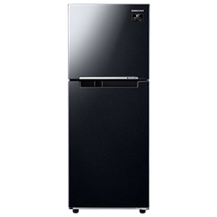 Top mount Freezer RT20HAR8DBUSV