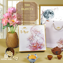 Bánh Trung Thu Bibica 2025 Hộp Thu Nguyệt 1