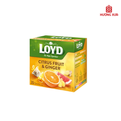 Trà trái cây Loyd 40g