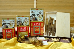 Hồng sâm khô