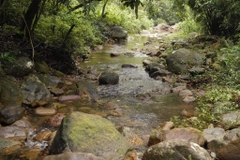 Ngoa Van Tour (2 Days 1 Night) | A Touch of the Sacred Mountain – A Lifetime of Peace