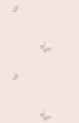 Giấy dán tường họa tiết bướm Hàn Quốc Choice 10285