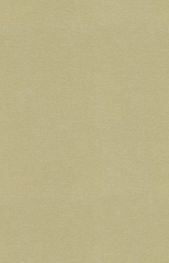 Giấy dán tường một màu Hàn Quốc Choice 10289