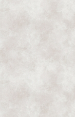 Giấy dán tường xi măng Hàn Quốc Choice 10291