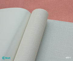 Giấy dán tường một màu Hàn Quốc Basic+ 489-1