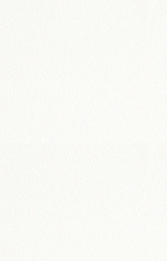 Giấy dán tường trắng The View 3000