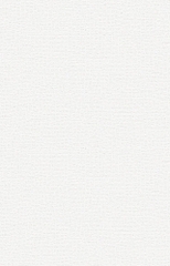 Giấy dán tường vân vải bố The View 3013