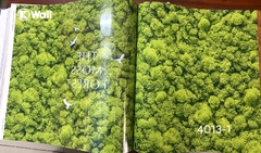 Giấy dán tường thiên nhiên Hàn Quốc Aurora 4013