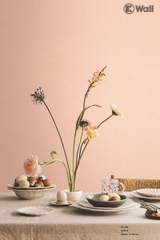 Giấy dán tường họa tiết sơn tường Plain 420