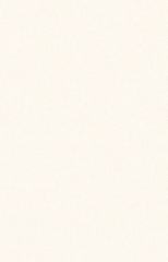 Giấy dán tường một màu Hàn Quốc Basic+ 488-2