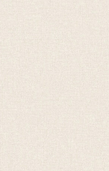 Giấy dán tường một màu Hàn Quốc Basic+ 489-2