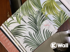 Giấy dán tường phòng khách Hàn Quốc Decortex JCD5011