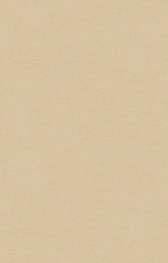 Giấy dán tường Hàn Quốc PROMISE 52507-3