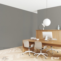 Phim dán nội thất cao cấp nhập khẩu Hàn Quốc SL548