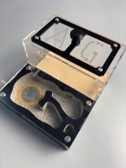 Tổ kiến N01 - Ytong