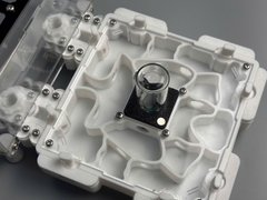 Tổ kiến Model A size L - In3D