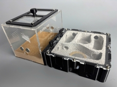 Tổ kiến Model B 20*10 - Tank In3d